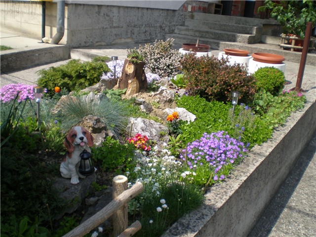 kamenjar 1  2011