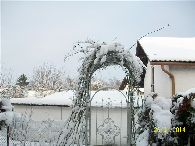 zima 2014