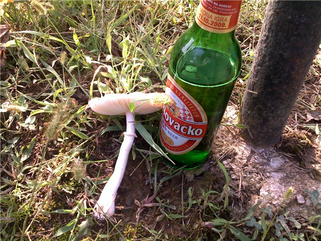 druga