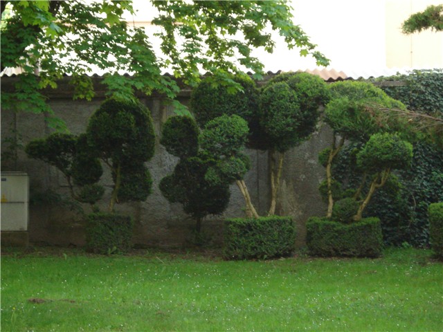 koprivnica