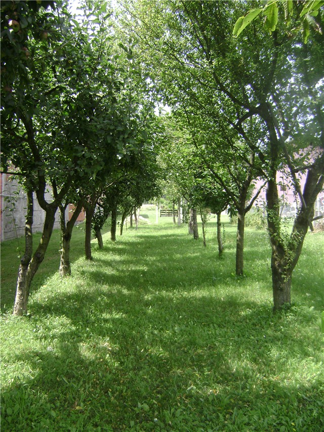 voćnjak
