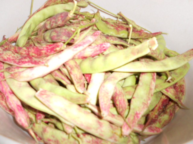 mladi grah