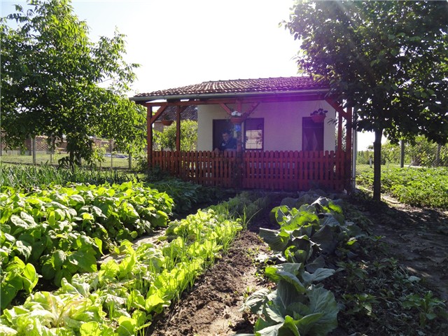 cijeće
