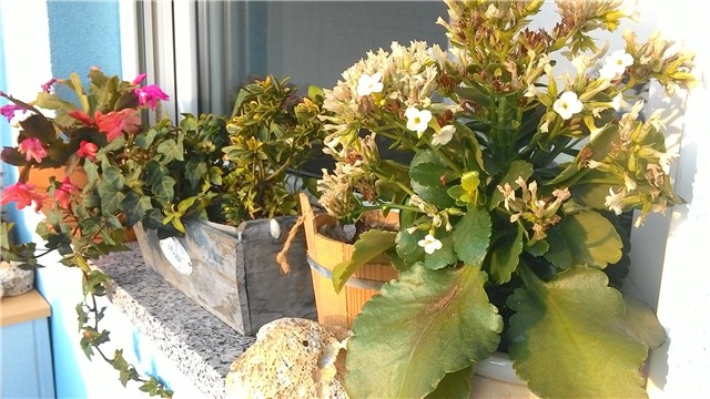 moj balkon
