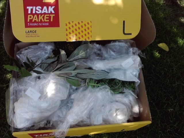 paket miska