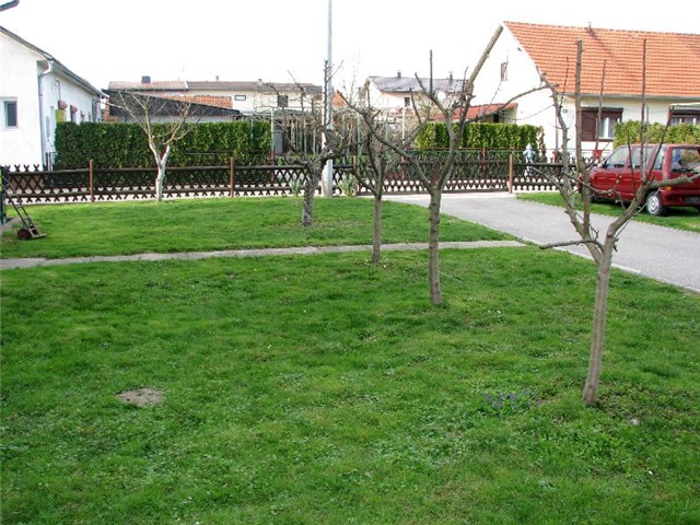 Dvoriste_001