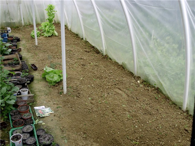 plastenik6