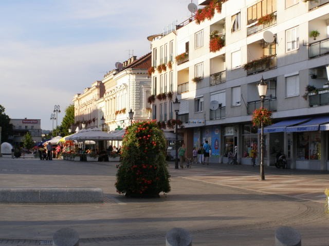 Korzo