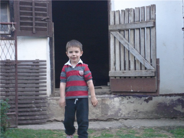 moj vrt