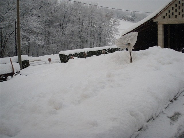 prije i sad