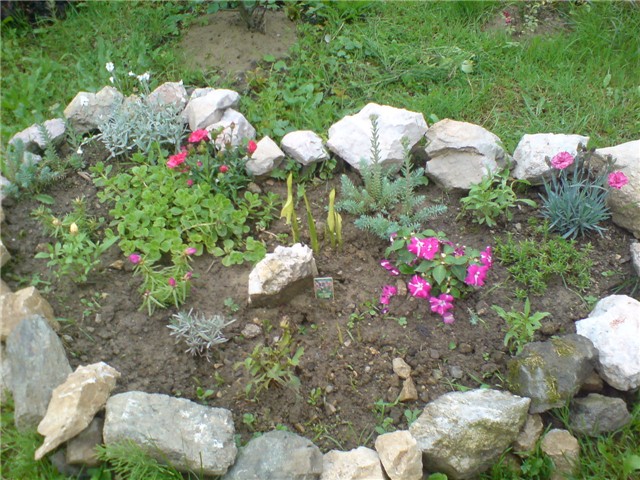 kamenjar
