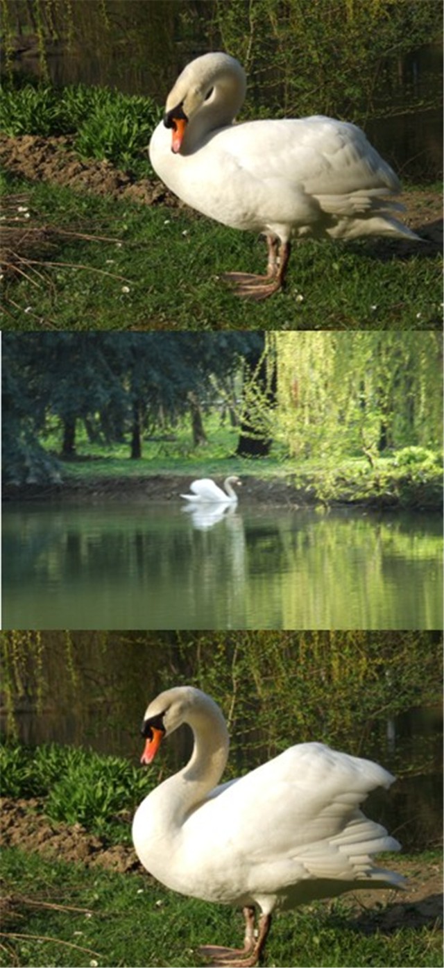 maksimir