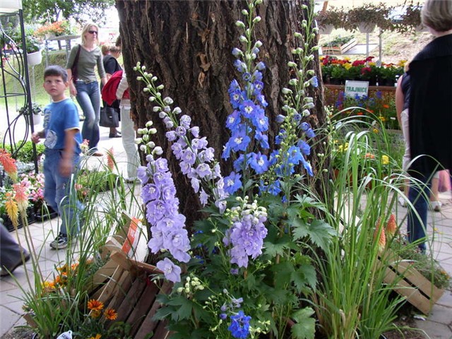 Flora Art Zagreb