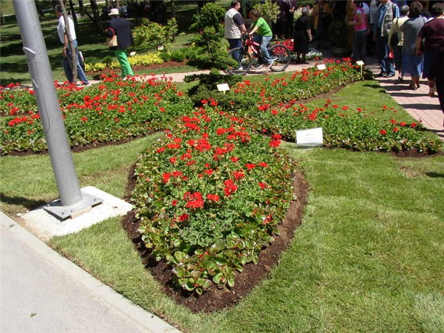 Flora Art Zagreb