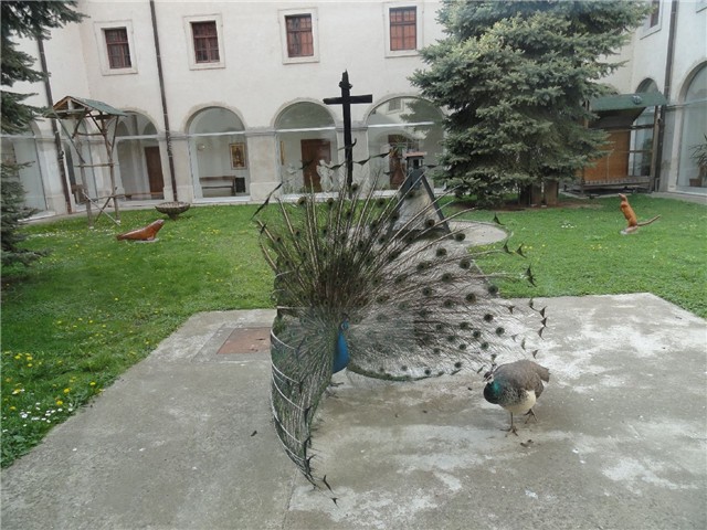 vukovar