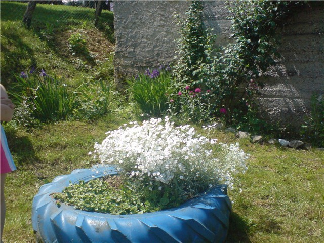 svasta