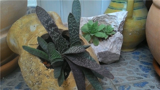 moj balkon