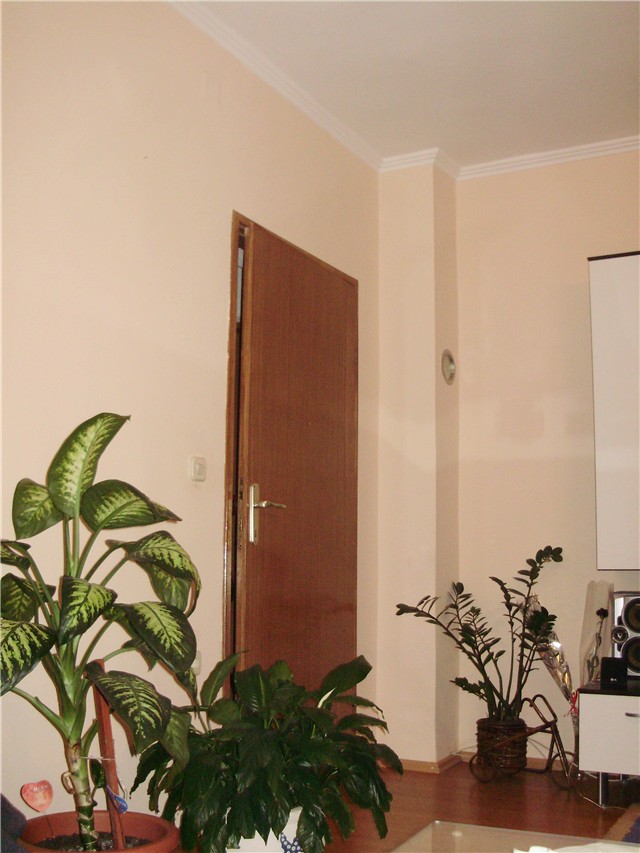cvijeće