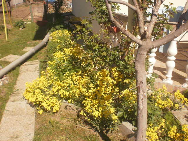 razno
