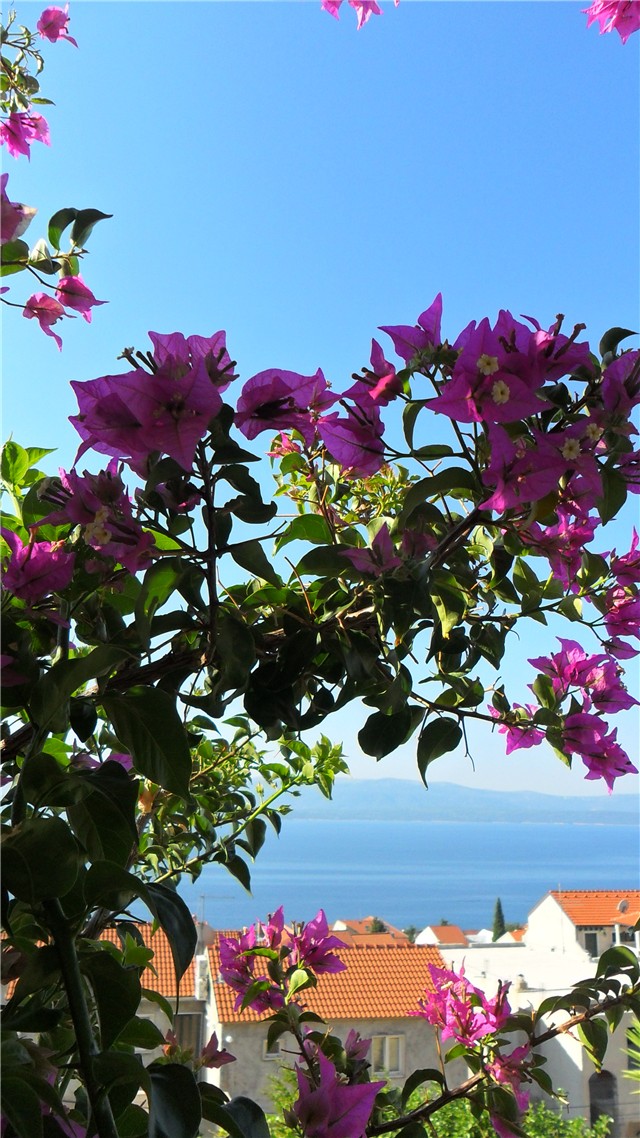 Brač 10.09.2011