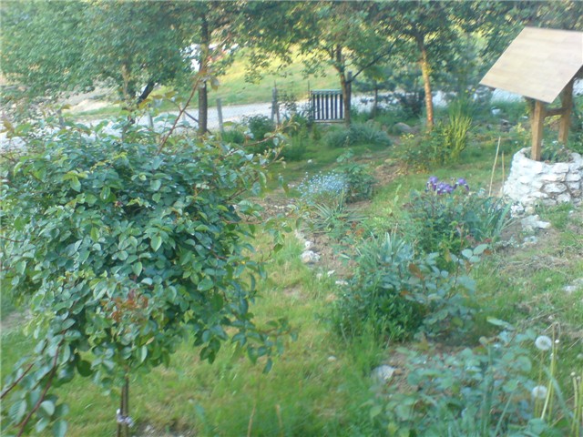 panorama