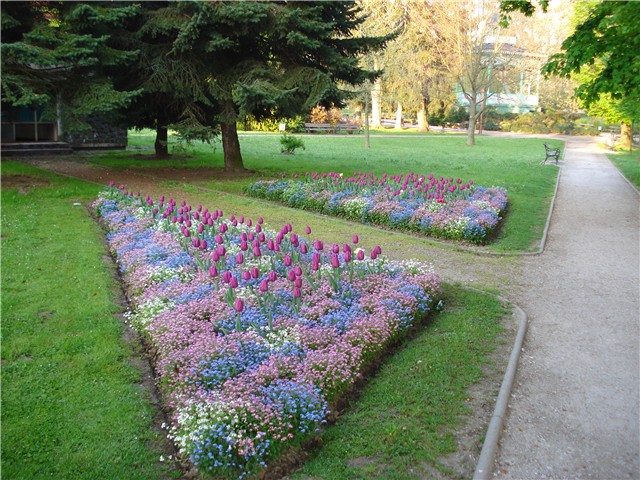 koprivnica