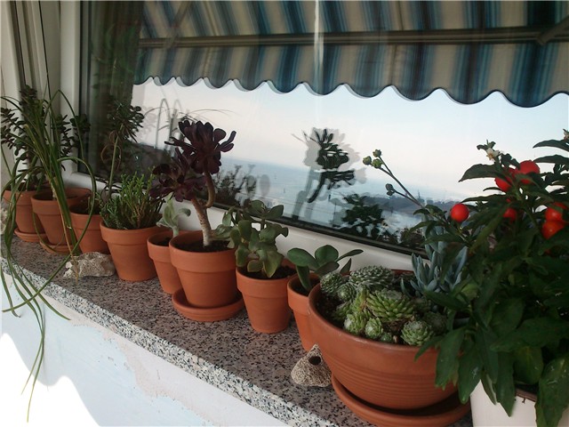 moj balkon