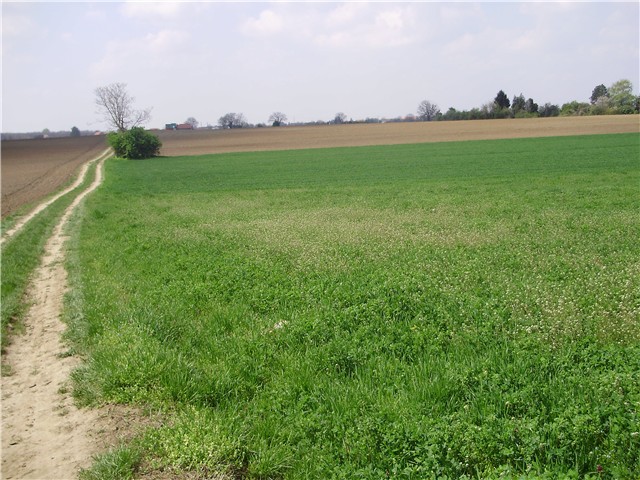 vukovar