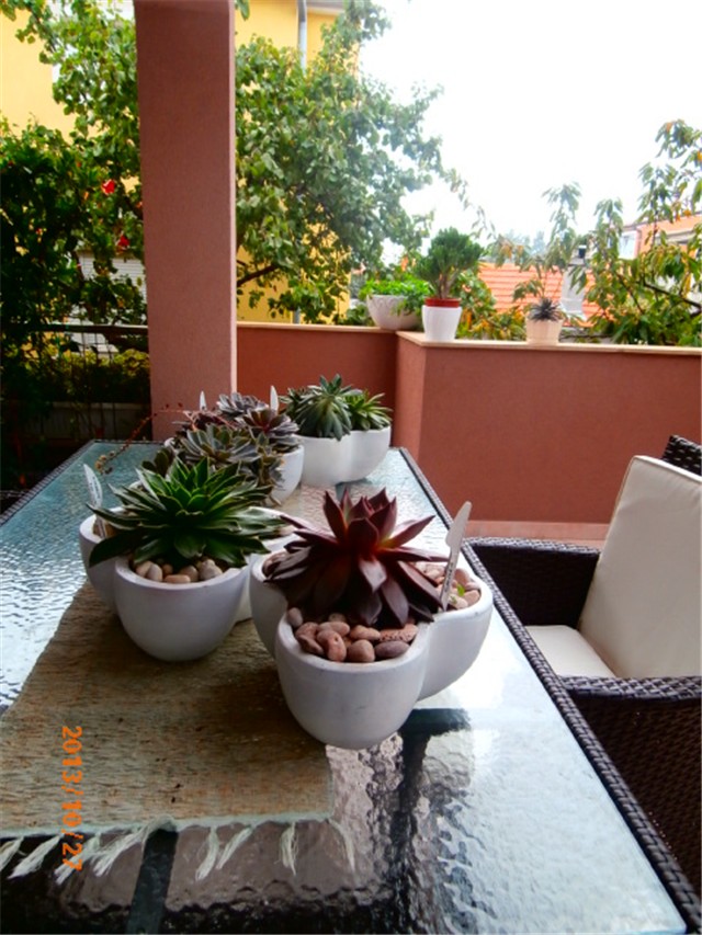 echeverie