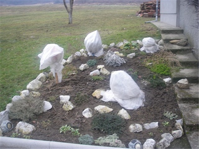 kamenjar