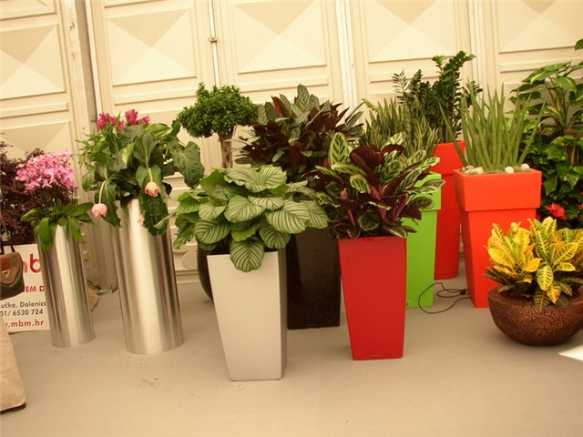Flora Art Zagreb