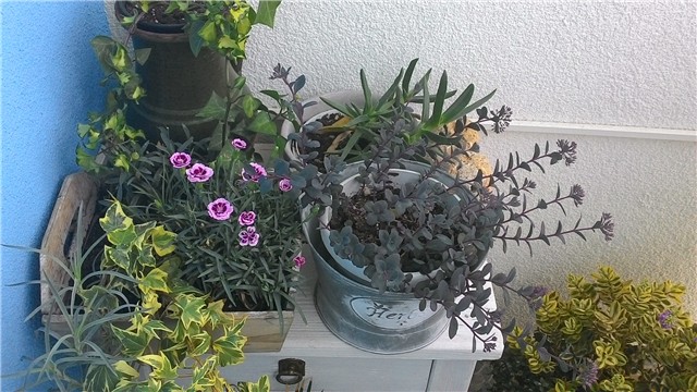 moj balkon