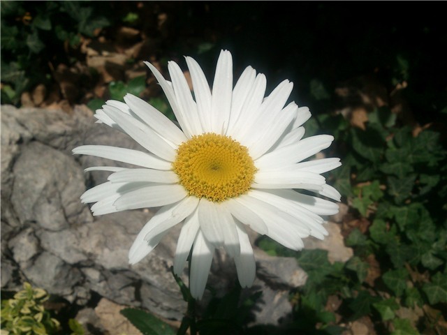 moj vrtić