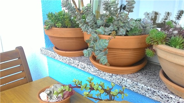 moj balkon