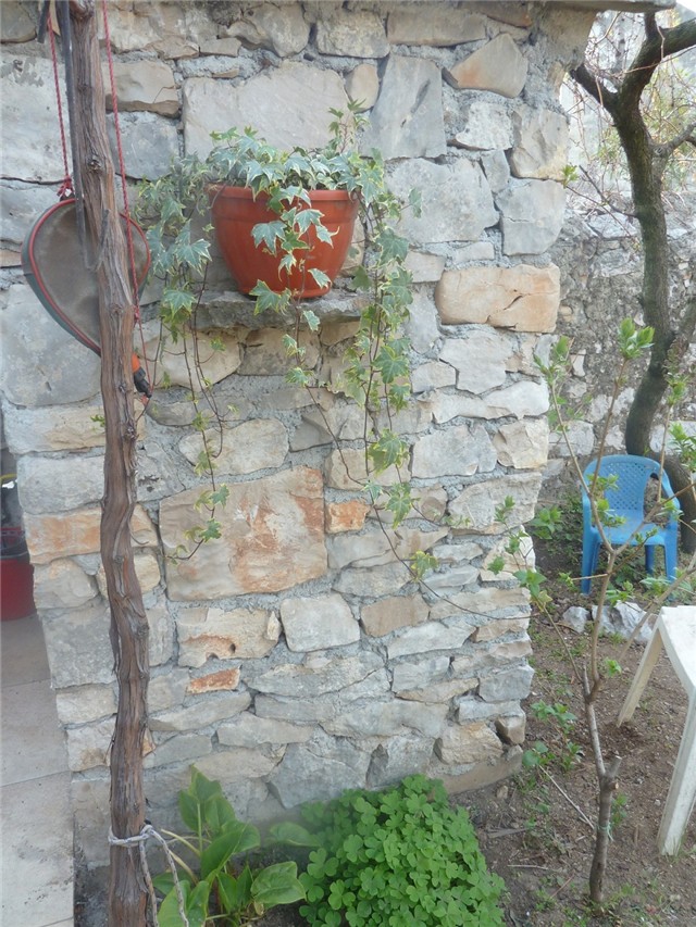 Moje cvijeće
