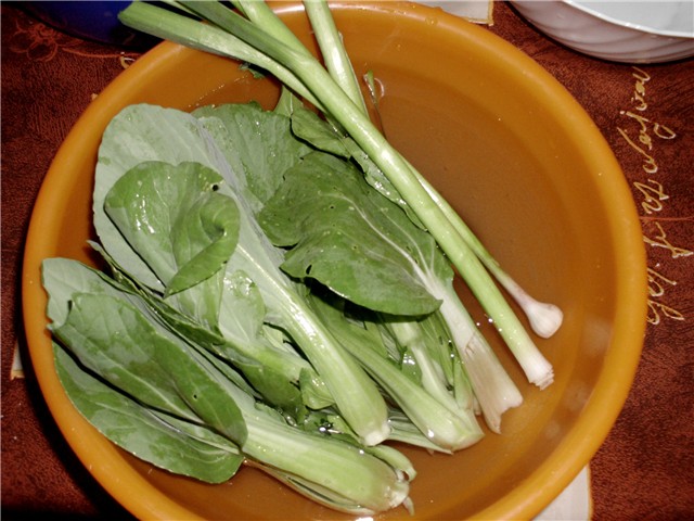 pak choi