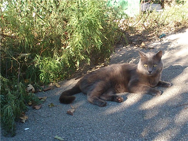 moj vrtić