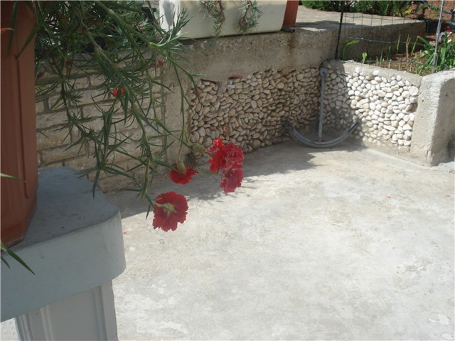 karanfil