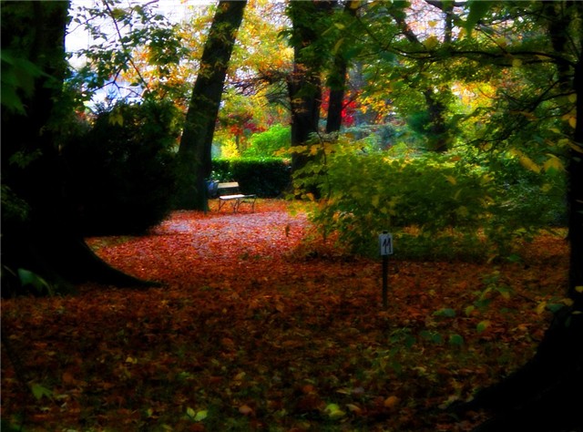 Botanicki vrt Zagreb