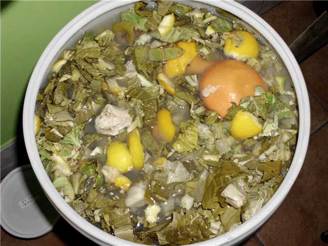 enzim
