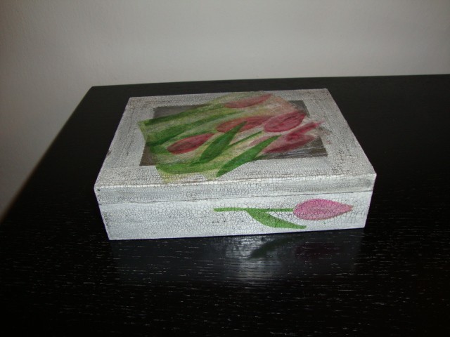 tulipan