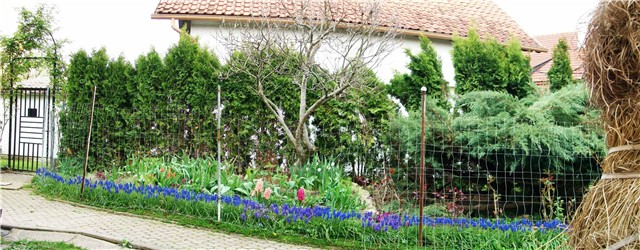 panoramska%20slika